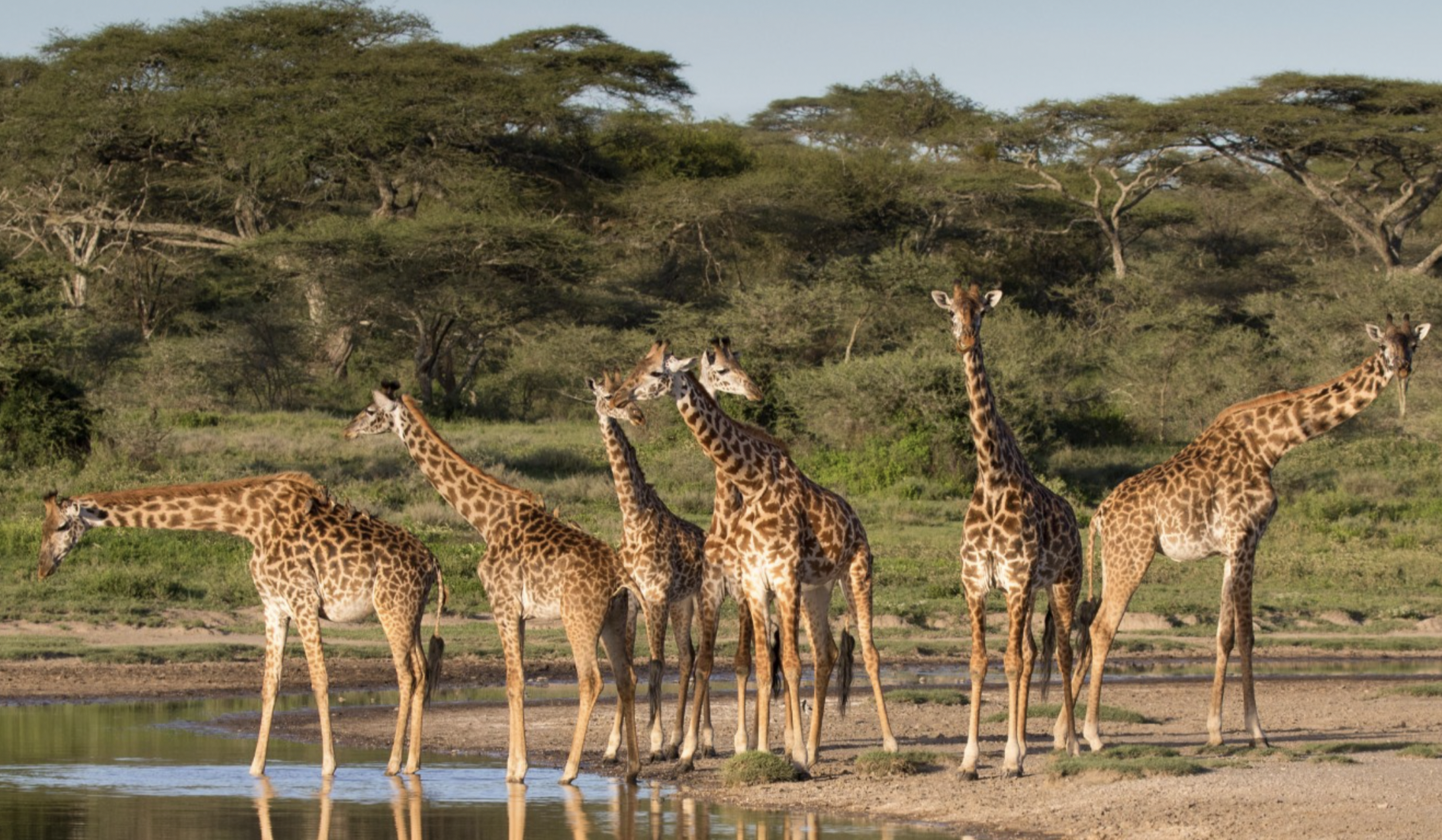 Ugalla River National Park